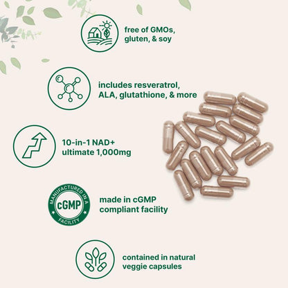 Micro Ingredients Liposomal NAD+®